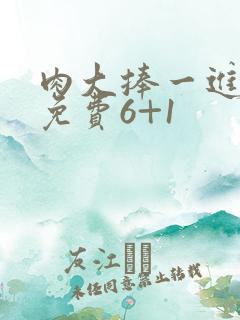 肉大捧一进一出免费6+1