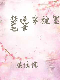 楚晚宁被墨燃塞毛笔