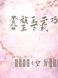 贵族王子巧遇穷公主下载