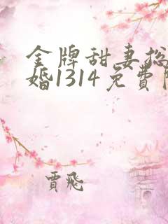 金牌甜妻总裁宠婚1314免费阅读
