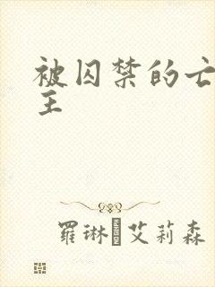 被囚禁的亡国公主