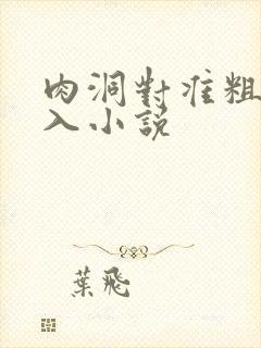 肉洞对准粗大坐入小说