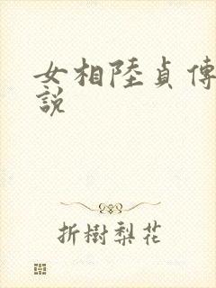女相陆贞传奇小说