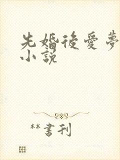 先婚后爱梦筱二小说
