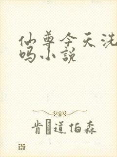 仙尊今天洗白了吗小说