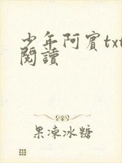 少年阿宾txt阅读