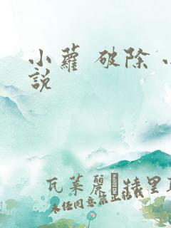 小萝 破除 小说
