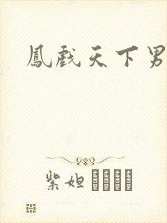 凤戏天下男
