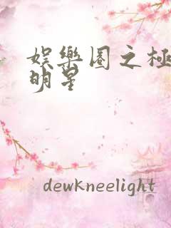 娱乐圈之极品大明星