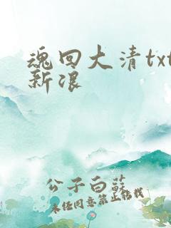 魂回大清txt新浪