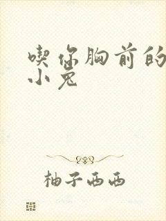 吃你胸前的两只小兔