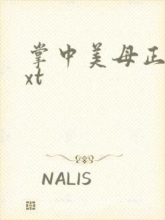 掌中美母正版txt