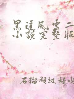 黑道风云二十年小说完整版