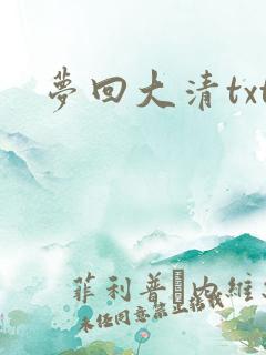 梦回大清txt