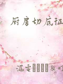 厨房切底征服岳