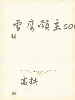 雪鹰领主sodu
