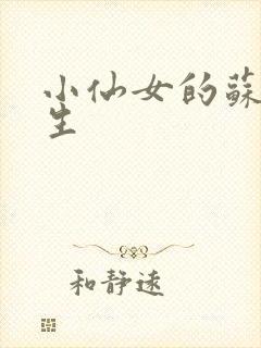 小仙女的苏撩先生