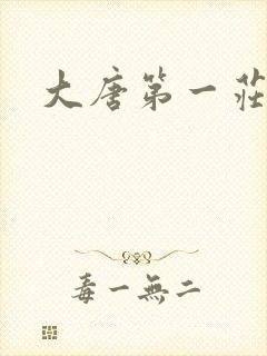 大唐第一庄