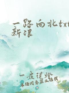 一路向北txt新浪