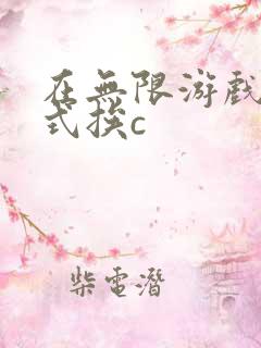 在无限游戏里花式挨c