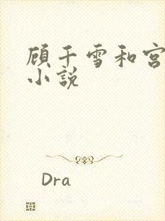 顾千雪和宫凌沨小说