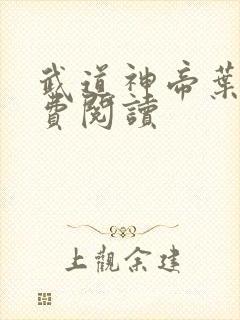 武道神帝叶辰免费阅读