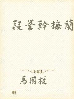 段誉干梅兰竹菊