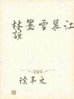 林墨雪慕江行小说