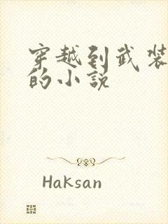 穿越到武装少女的小说