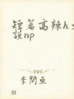 短篇高辣h文小说np