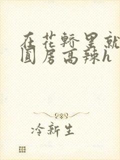 在花轿里就开始圆房高辣h