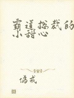 霸道总裁的宠爱小甜心