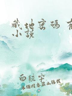 藏地密码 有声小说