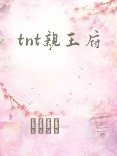 tnt亲王府