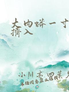 大肉蟒一寸一寸挤入