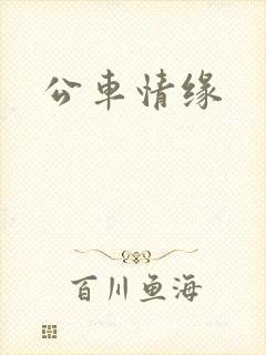 公车情缘