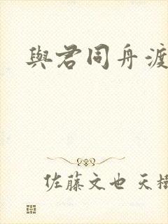 与君同舟渡小说