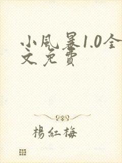 小风暴1.0全文免费