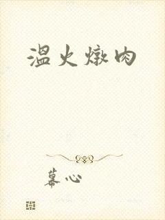 温火炖肉