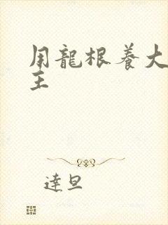 用龙根养大的公主