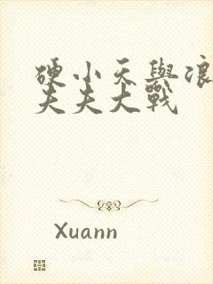 硬小天与浪小辉夫夫大战