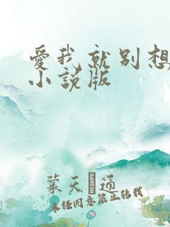 爱我就别想太多小说版