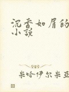 沉香如屑的原著小说