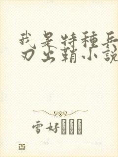 我是特种兵之利刃出鞘小说