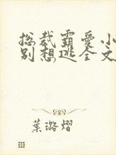 总裁霸爱小娇妻别想逃全文阅读免费