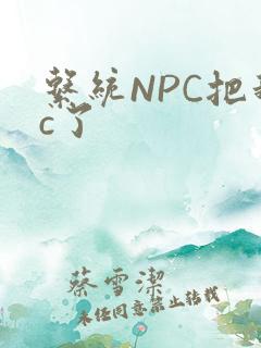系统NPC把我c了