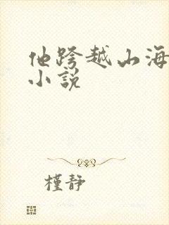 他跨越山海而来小说