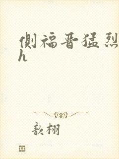 侧福晋猛烈顶弄h