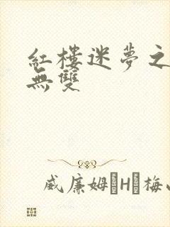 红楼迷梦之国士无双