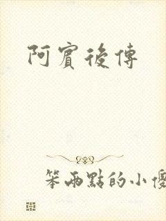 阿宾后传